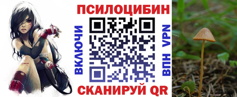 Псилоцибиновые грибы Magic Shrooms  Купить  Зверево 