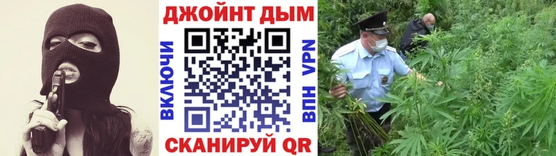 Канабис OG Kush  Купить закладки  Зверево 